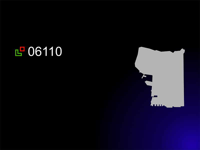 06110