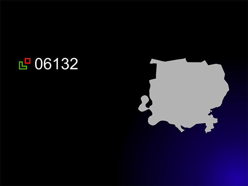 06132