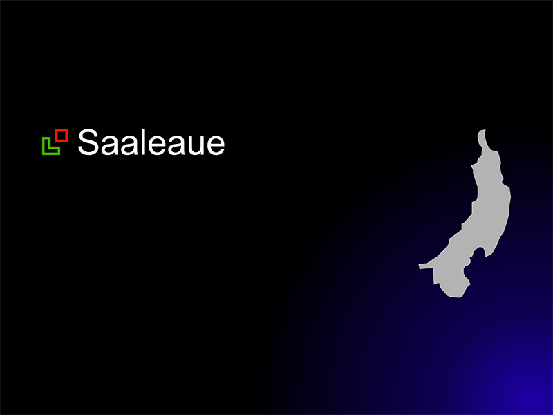 Saaleaue